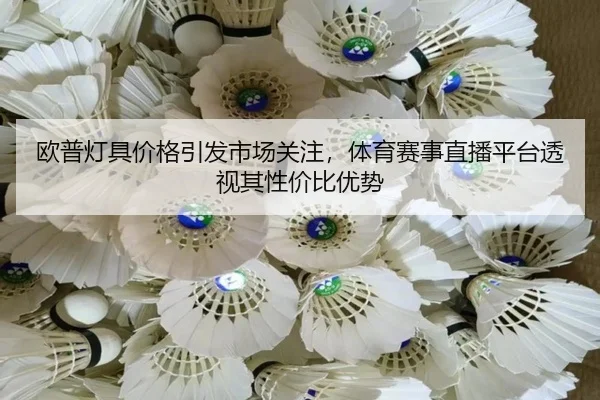 欧普灯具价格引发市场关注，体育赛事直播平台透视其性价比优势
